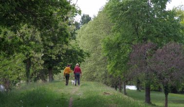 Activités Camping Les Rives de l’Adour
