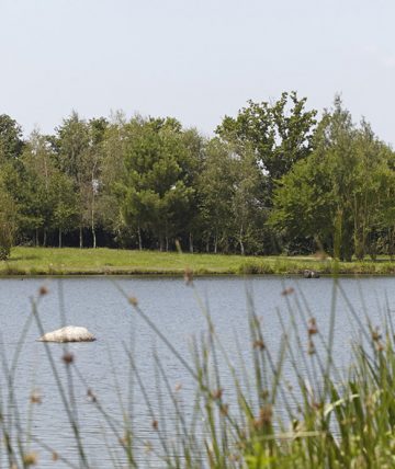 Natura Resort &#8211; Pescalis