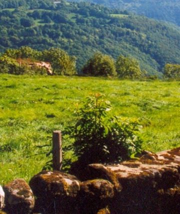 Hameau de gîtes