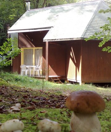 Gîtes de la Forêt
