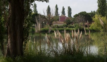 Activités Résidence Les Hameaux de Camargue