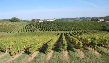 Activités Résidence Les Hameaux de la Chalosse